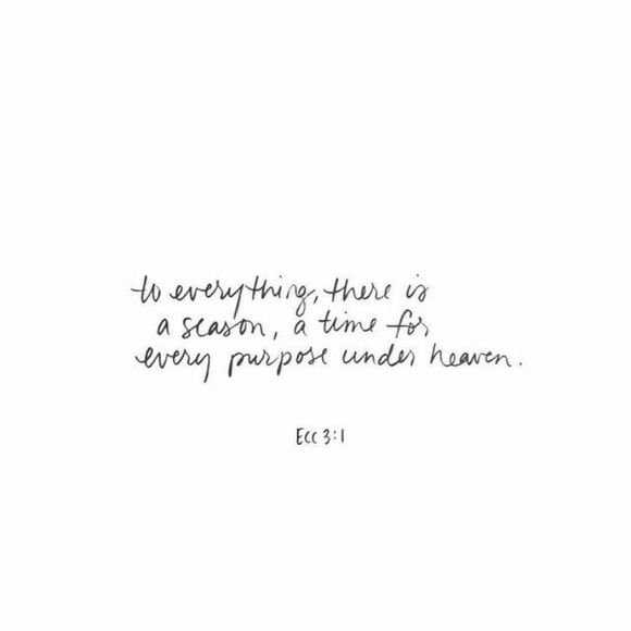 🌵 - Picture 3 of 8